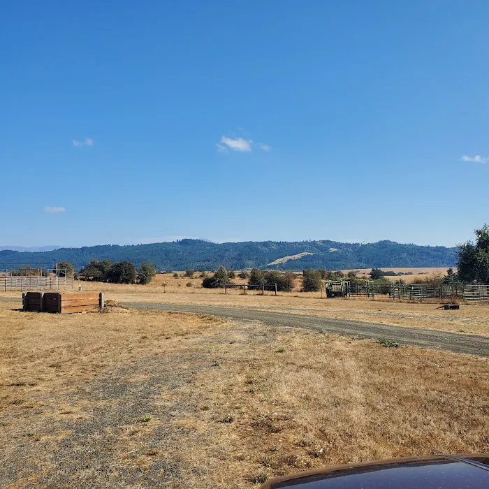 Mildred Kanipe Memorial Park Campground 6