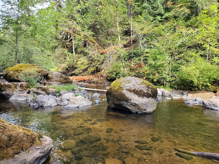 Cavitt Creek Falls Recreation Site 0