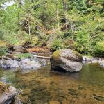Cavitt Creek Falls Recreation Site