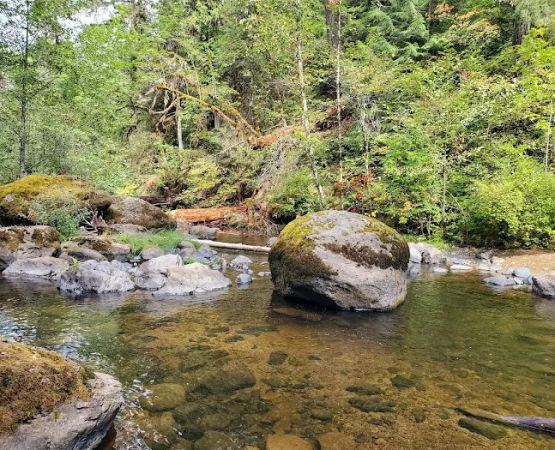 Cavitt Creek Falls Recreation Site