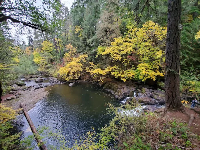 Cavitt Creek Falls Recreation Site 3