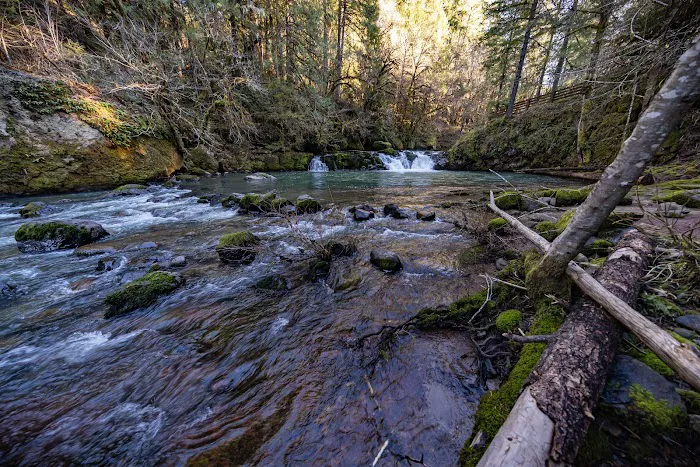 Cavitt Creek Falls Recreation Site 2