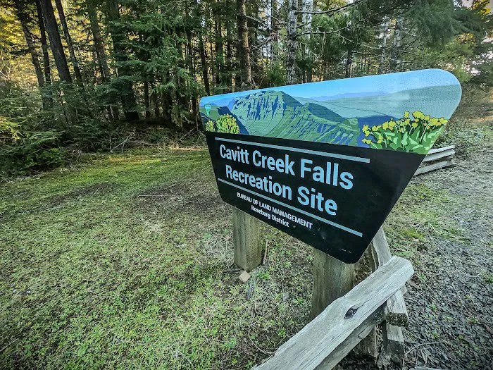 Cavitt Creek Falls Recreation Site 7
