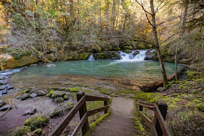 Cavitt Creek Falls Recreation Site 4
