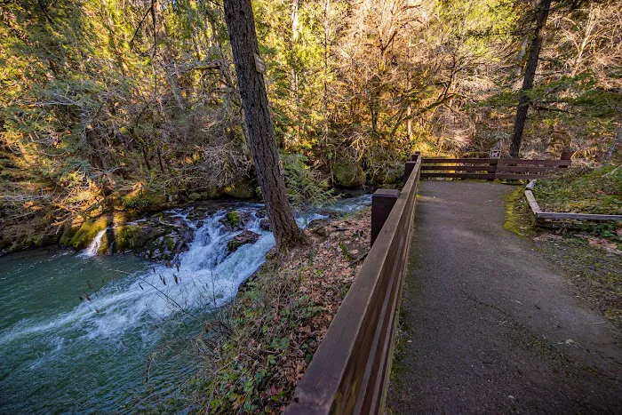 Cavitt Creek Falls Recreation Site 6