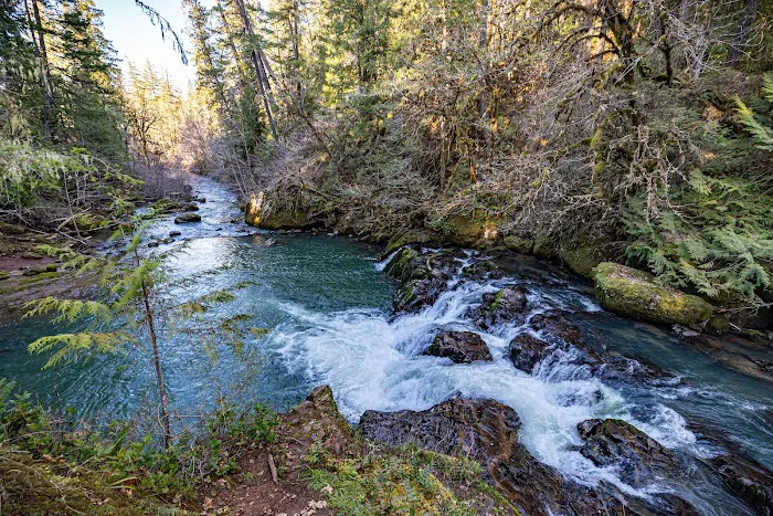 Cavitt Creek Falls Recreation Site 8