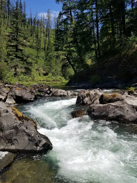 Dumont Creek Campground 4