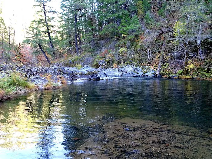 Dumont Creek Campground 7