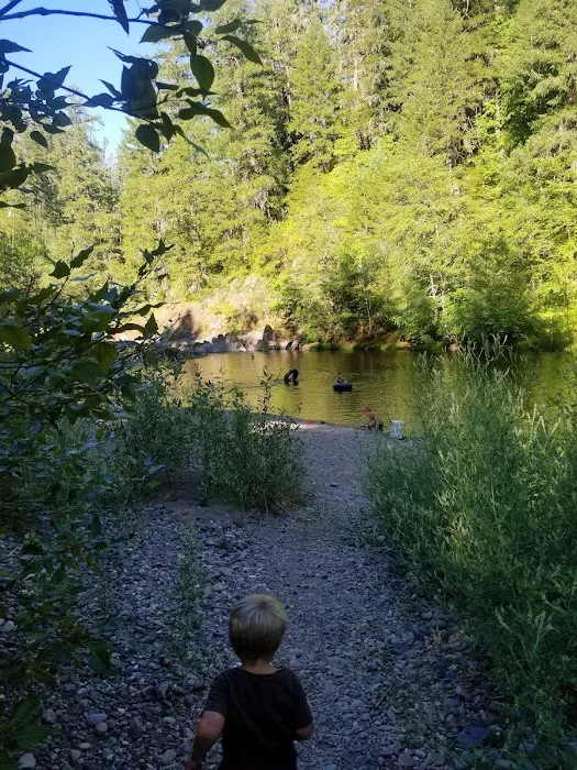 Dumont Creek Campground 1