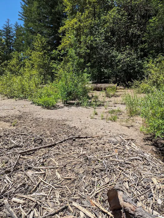 Dumont Creek Campground 9