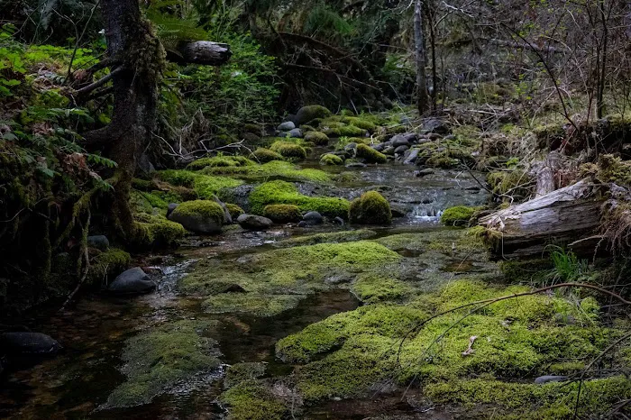 Cover Campground 1