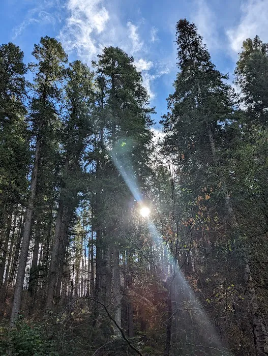 Cover Campground 7