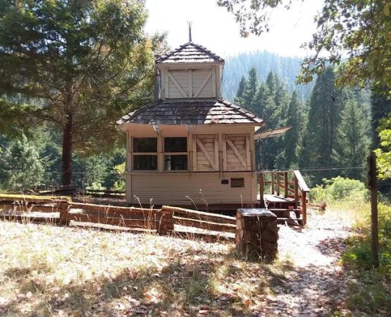 US Forest Service