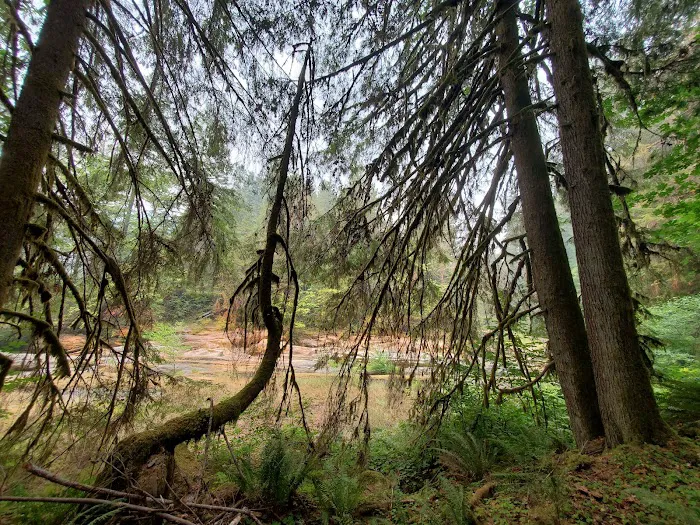 Wolf Creek Campground 1