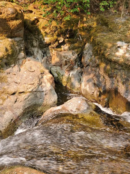 Wolf Creek Campground 6