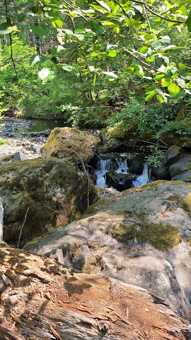 Devil's Flat Campground 7