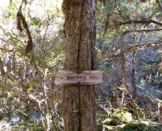 Devil's Flat Campground