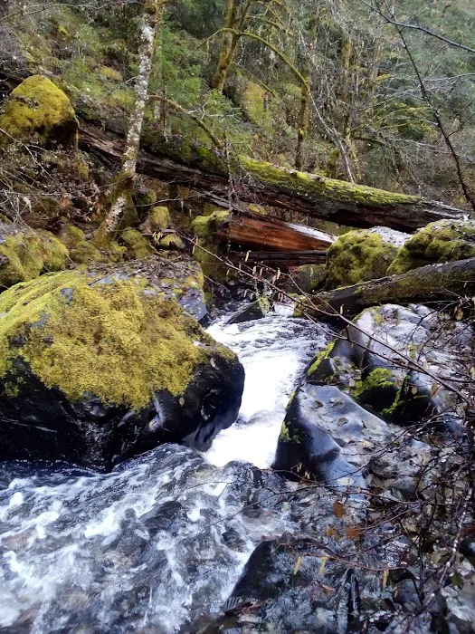 Devil's Flat Campground 6