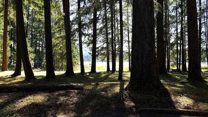 Primitive Campground 6