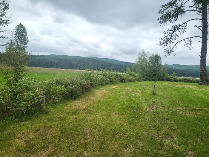 Primitive Campground 5