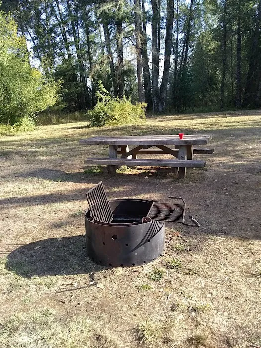Primitive Campground 4