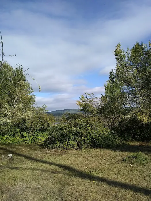 Primitive Campground 7