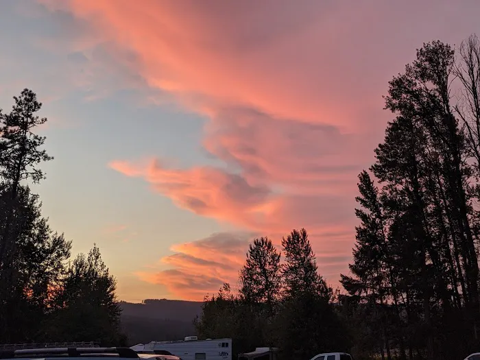 Primitive Campground 2