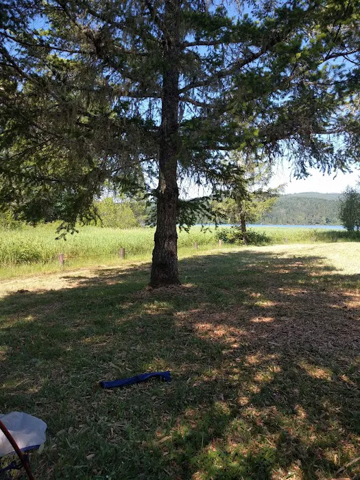 Primitive Campground 8