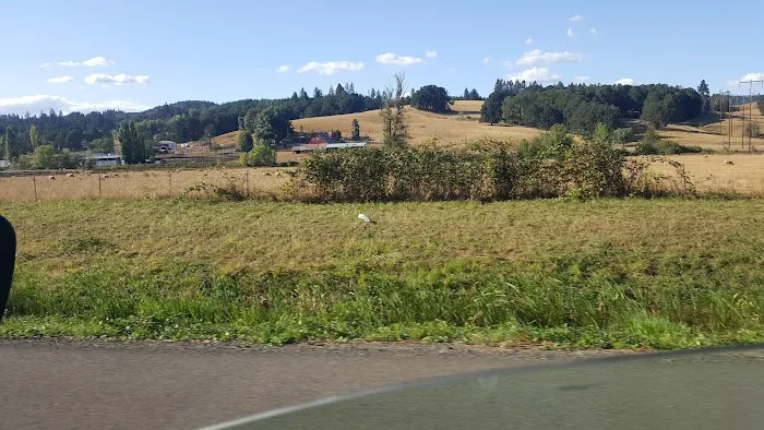 Cottage Grove RV Village 6