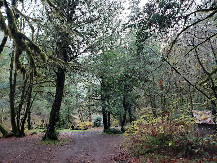 Myrtle Grove Campground 0