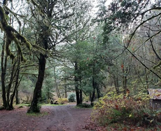 Myrtle Grove Campground