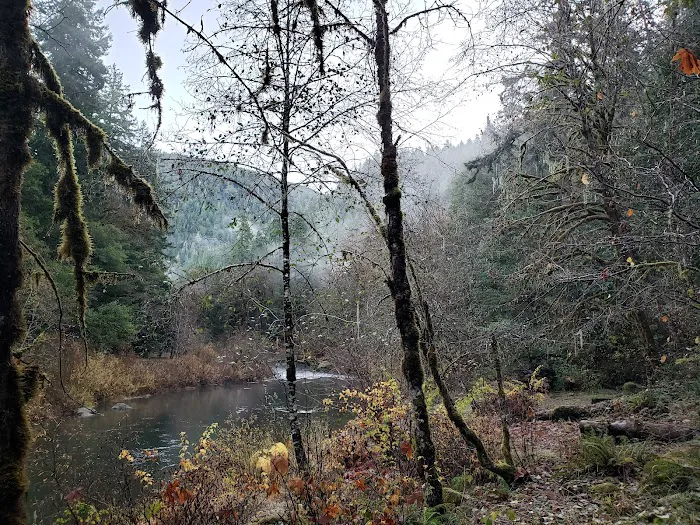 Myrtle Grove Campground 1