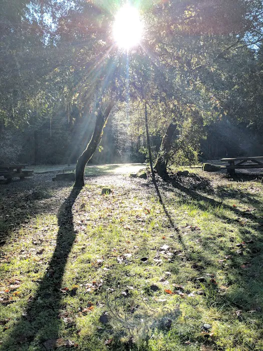 Daphne Grove Campground 4