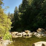 Daphne Grove Campground