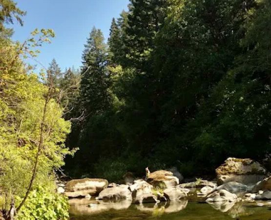 Daphne Grove Campground
