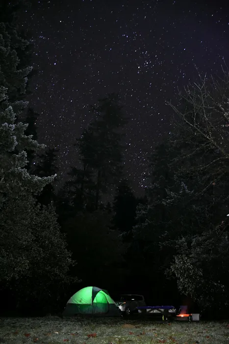 Daphne Grove Campground 8