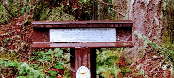 Daphne Grove Campground 6