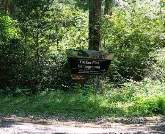 Tucker Flat Campground