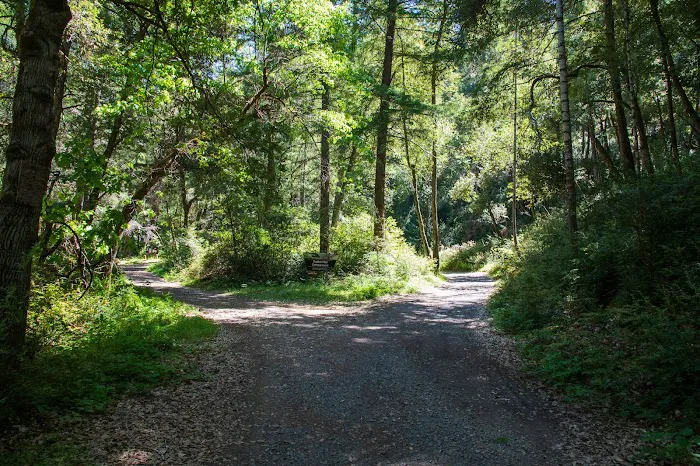 Tucker Flat Campground 9