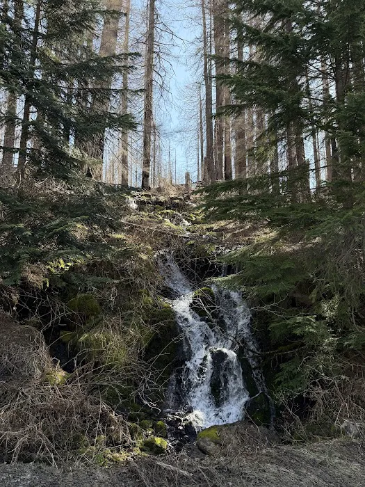 Blair Lake Campground 5