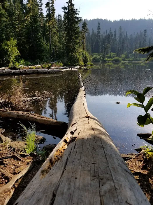 Blair Lake Campground 8