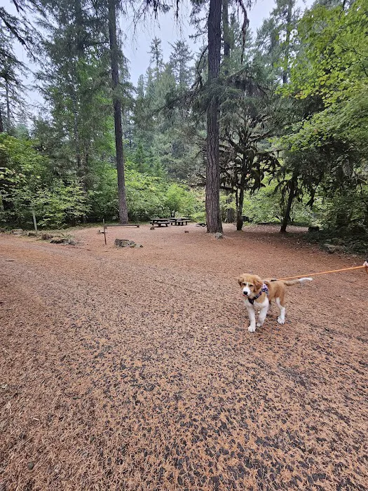 Kiahanie Campground 0