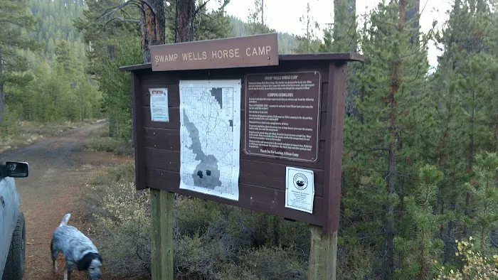 Swamp Wells Horse Camp 0