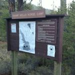 Swamp Wells Horse Camp