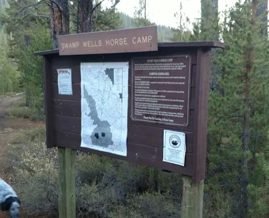 Swamp Wells Horse Camp