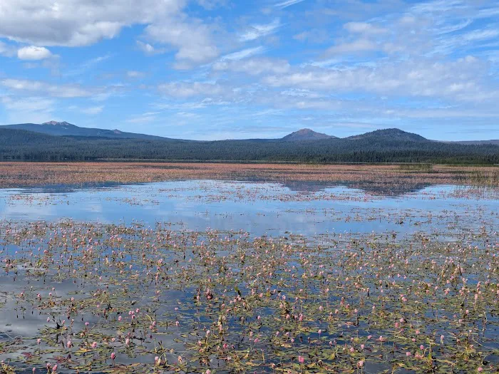 Crane Prairie Reservoir (recgovnpsdata) 1