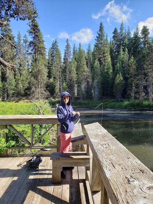 SHEEP BRIDGE 9