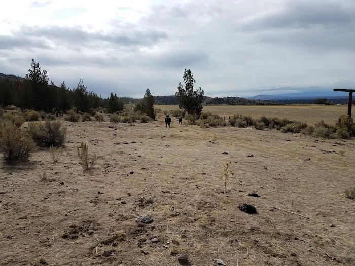 Henderson Flats OHV Trails 1