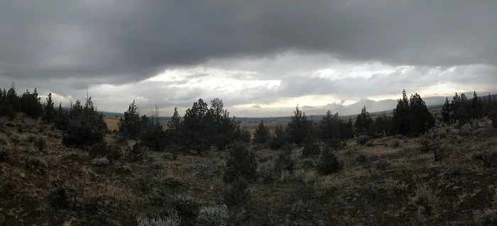 Henderson Flats OHV Trails 6