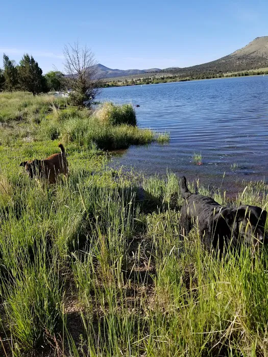 Haystack Reservoir Campground 7